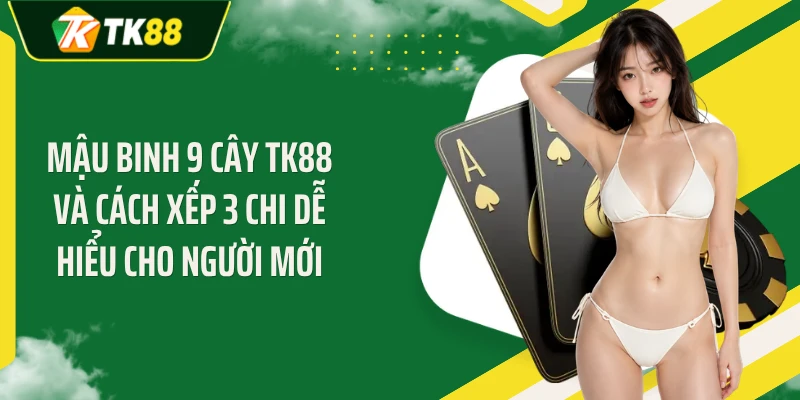 Mậu Binh 9 Cây TK88 Và Cách Xếp 3 Chi Dễ Hiểu Cho Người Mới